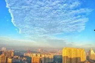 彭州新闻爆料,揭秘当地热点事件背后的真相